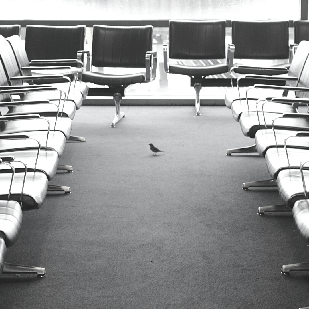 The Meaning of an Object