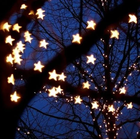 The Longest Night