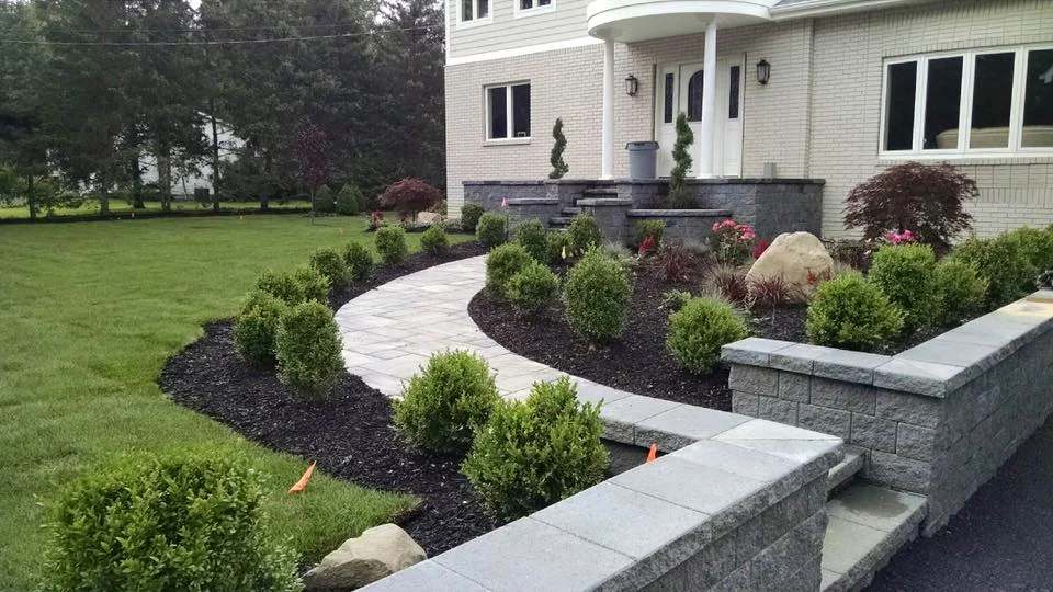 Shrubs.jpg