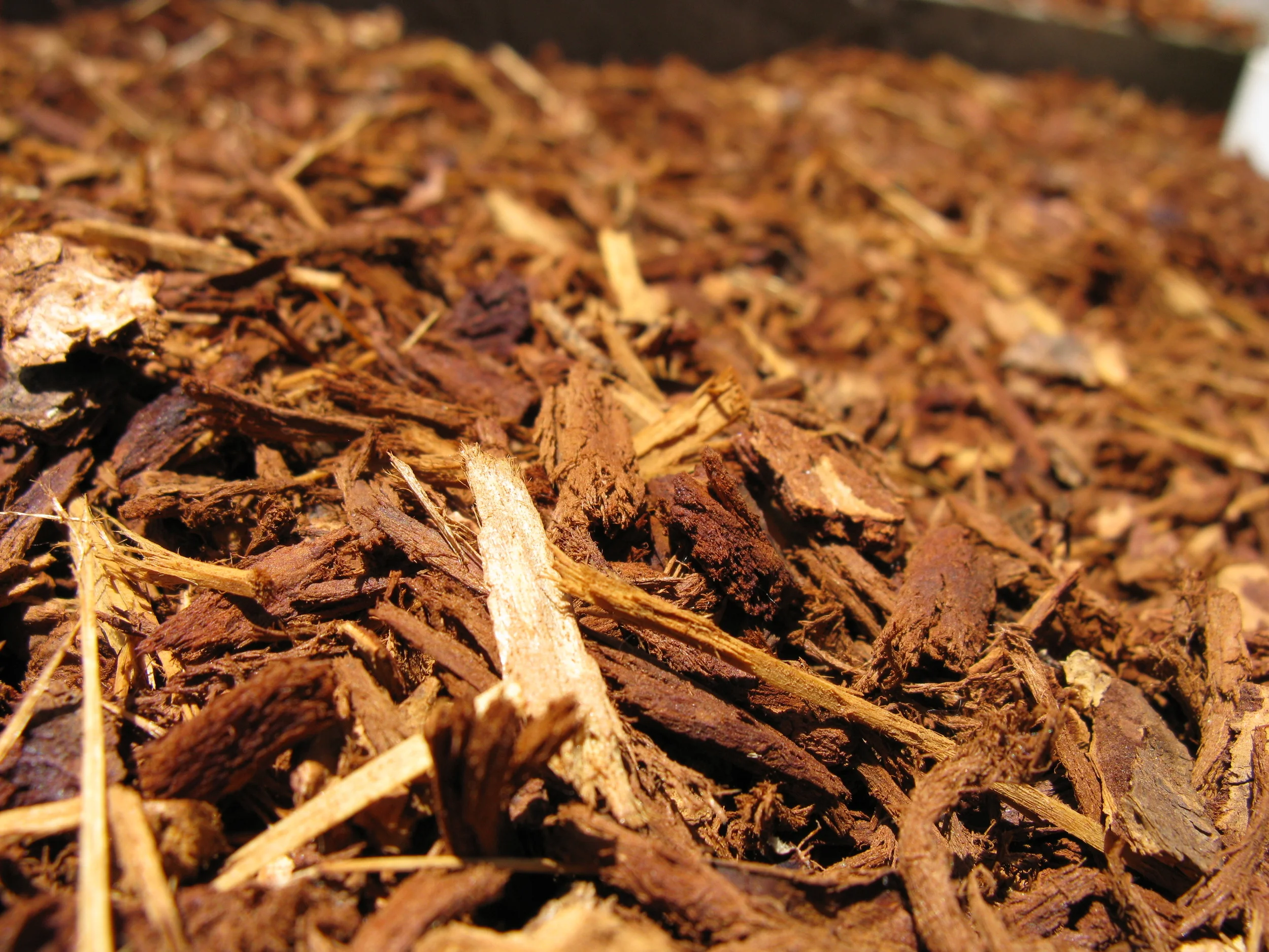 Using Mulch on Your Property Properly