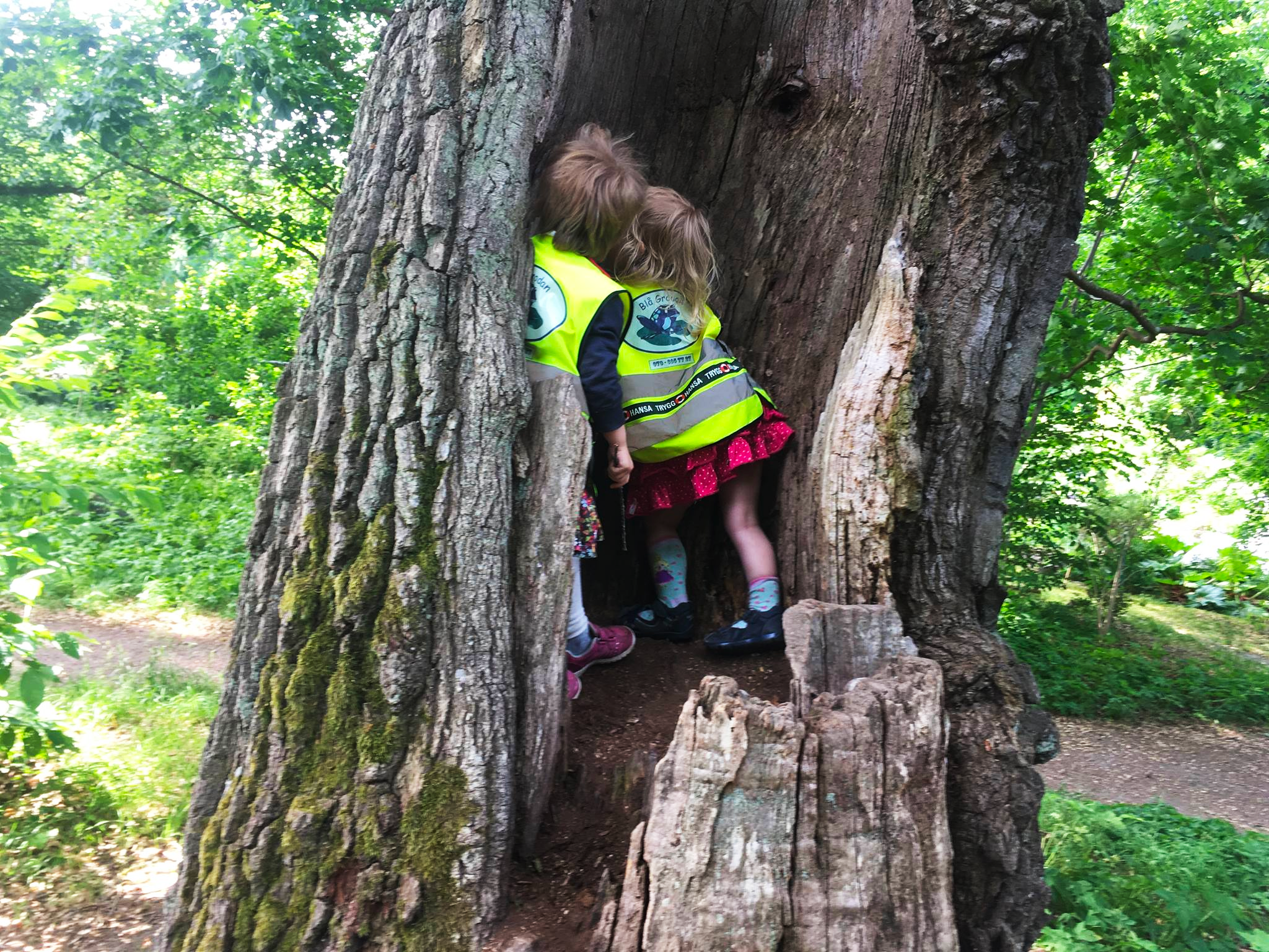 Treeclimbing.png