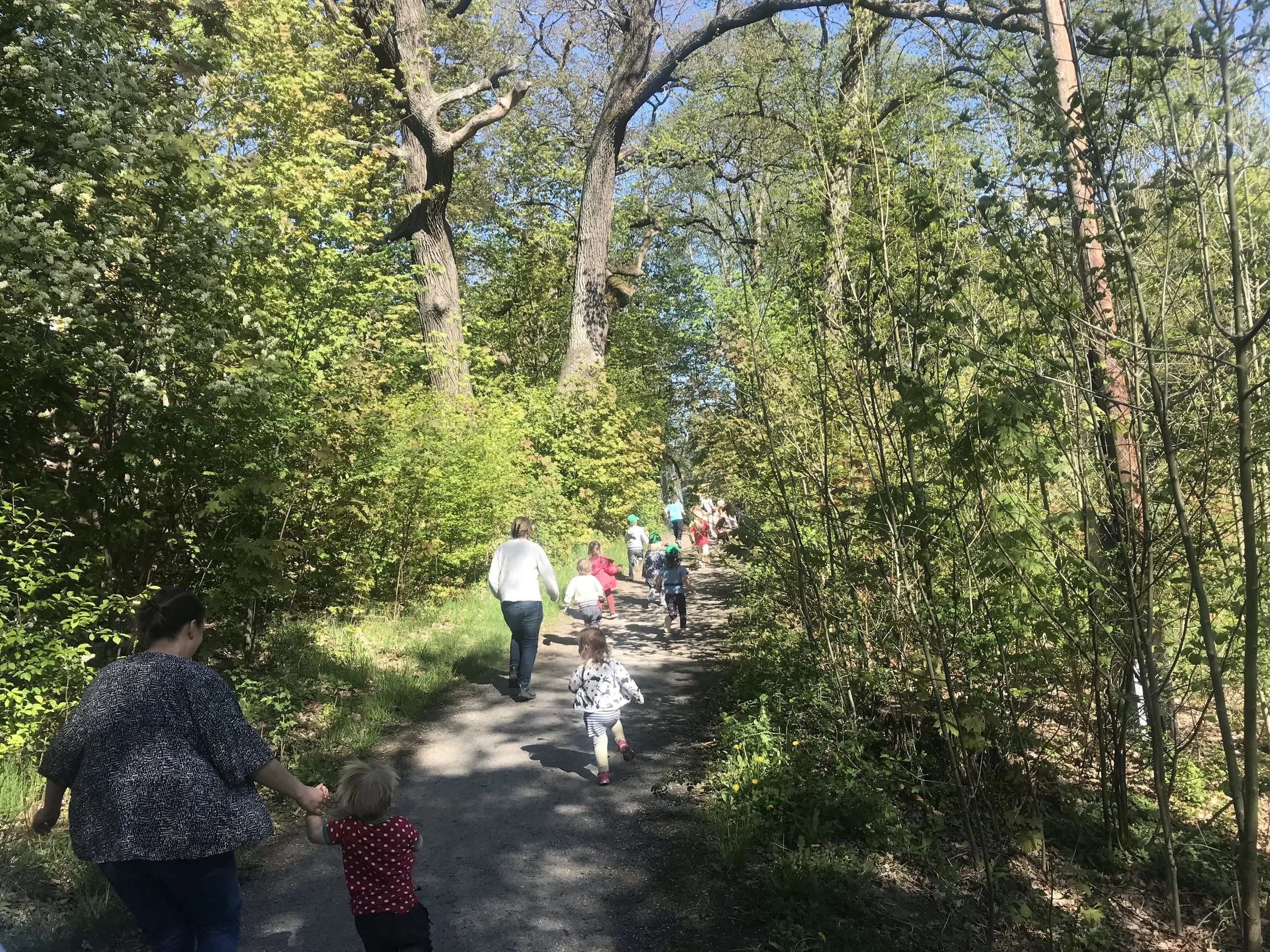 blå grodan-loppet 2019