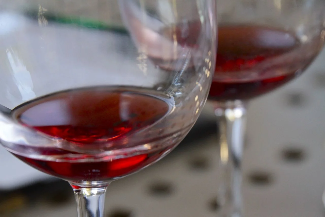 Sampling Some of Sonoma's Best