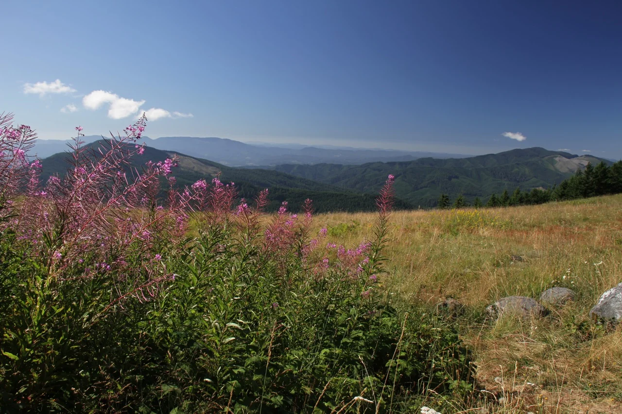 Eugene, Corvallis, and Mary's Peak