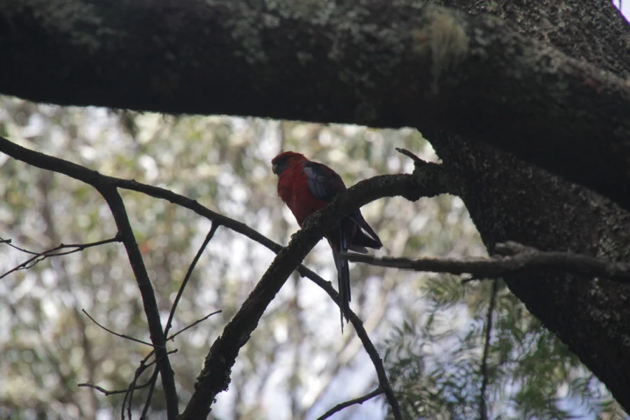 20140202-120953.jpg