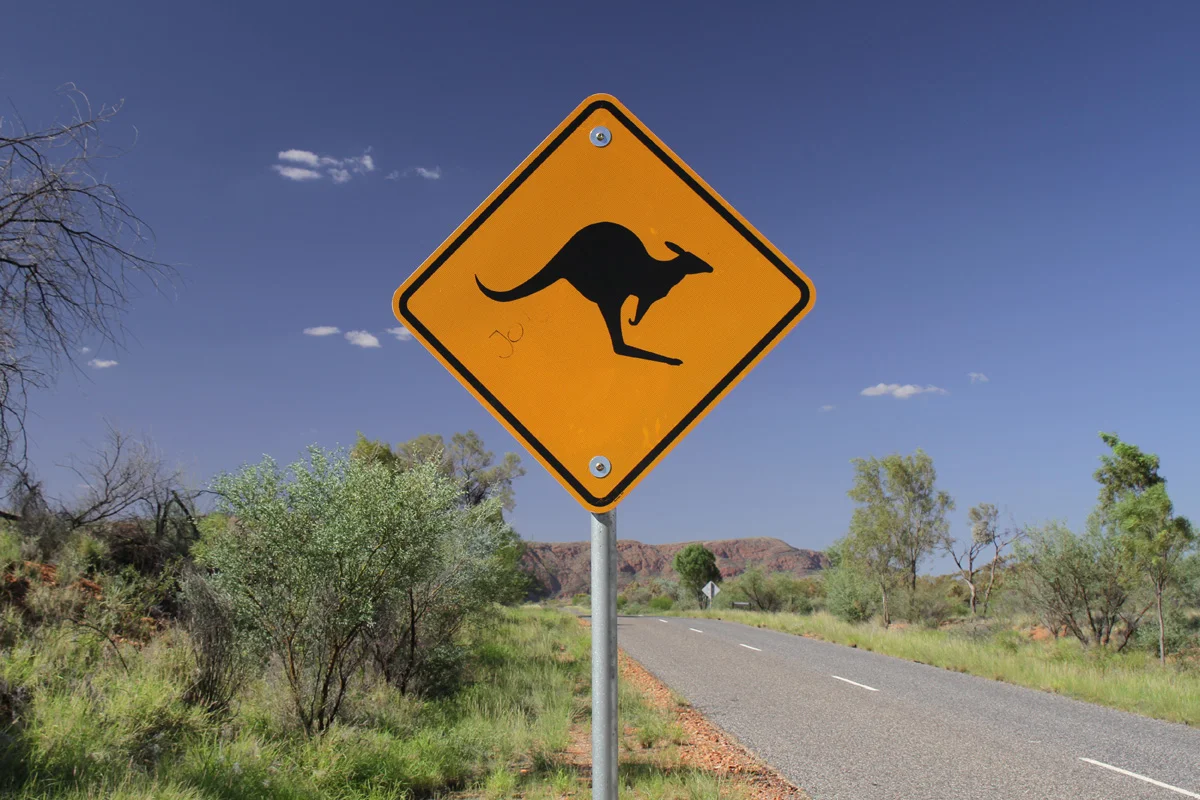 Classic Australia Road Sign Kangaroo Crossing