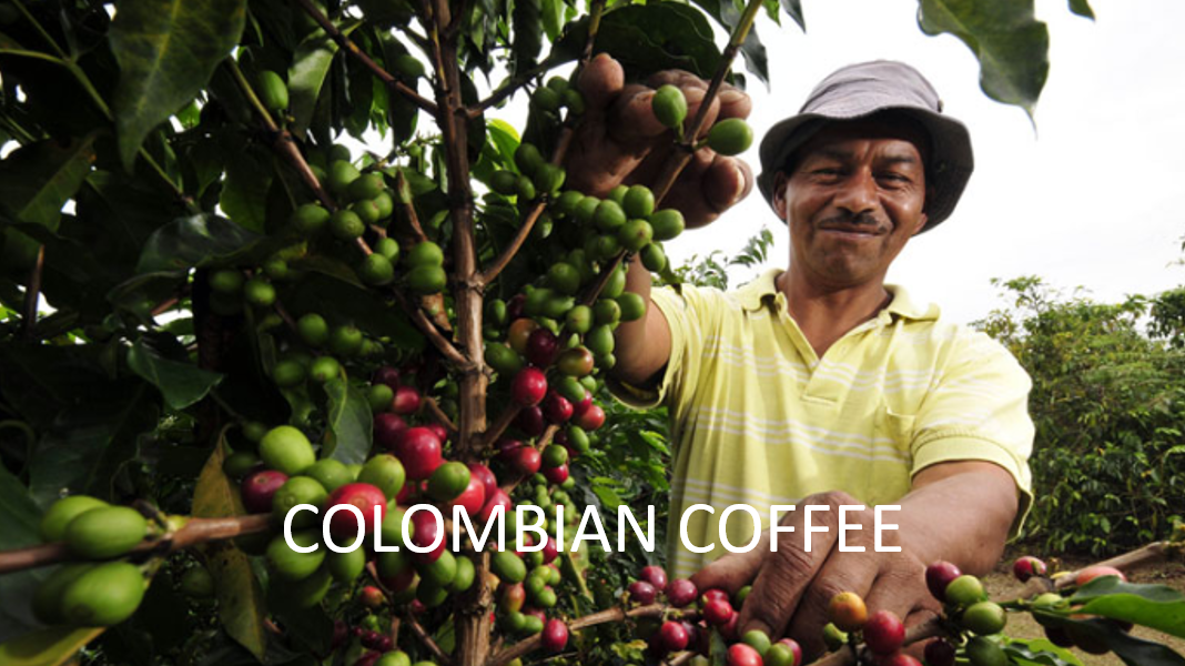 Colombian Coffee Pic.png