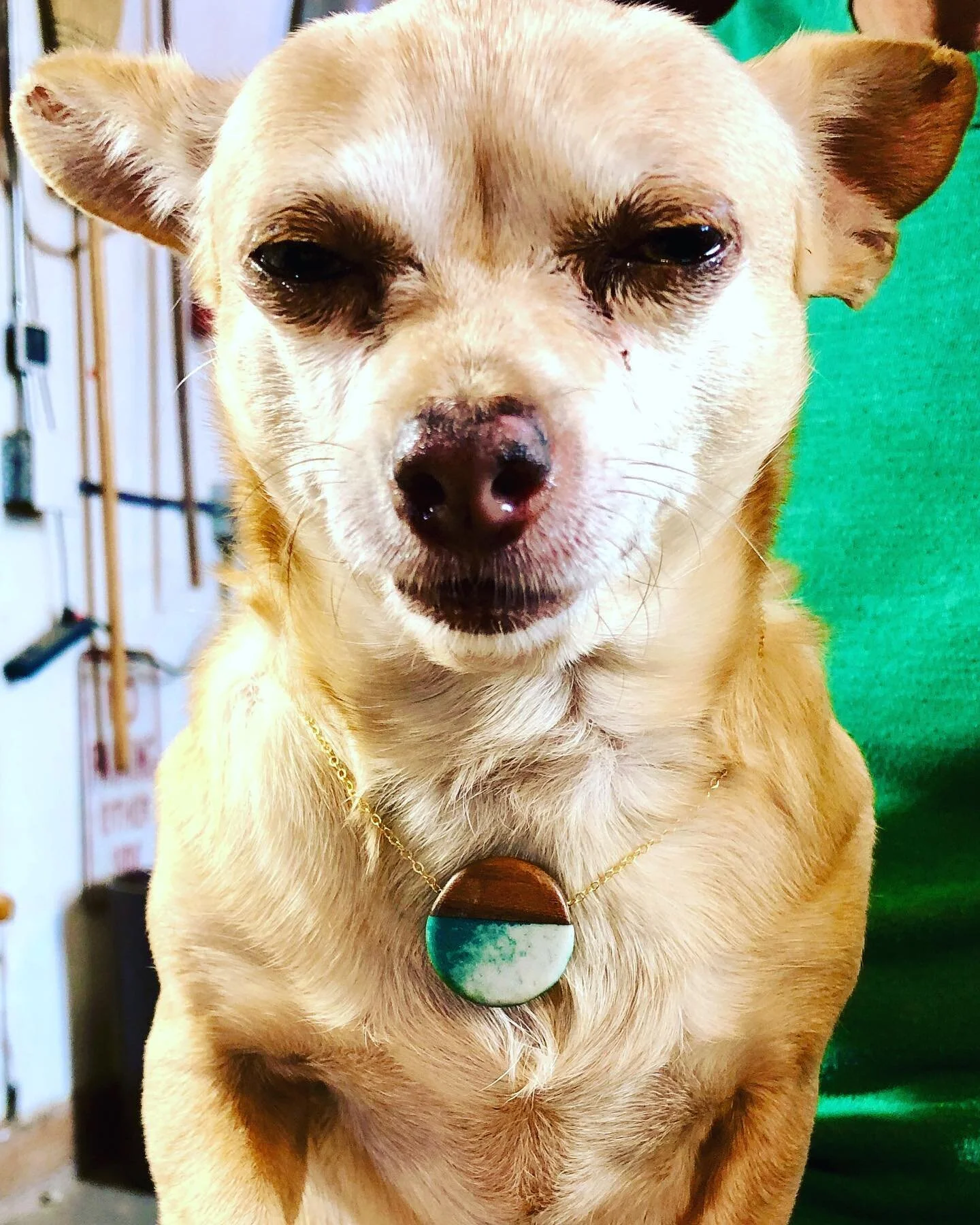 25% off all pendant designs until 2 pm 7/21!  This one Lou is sporting is still available ☝🏼