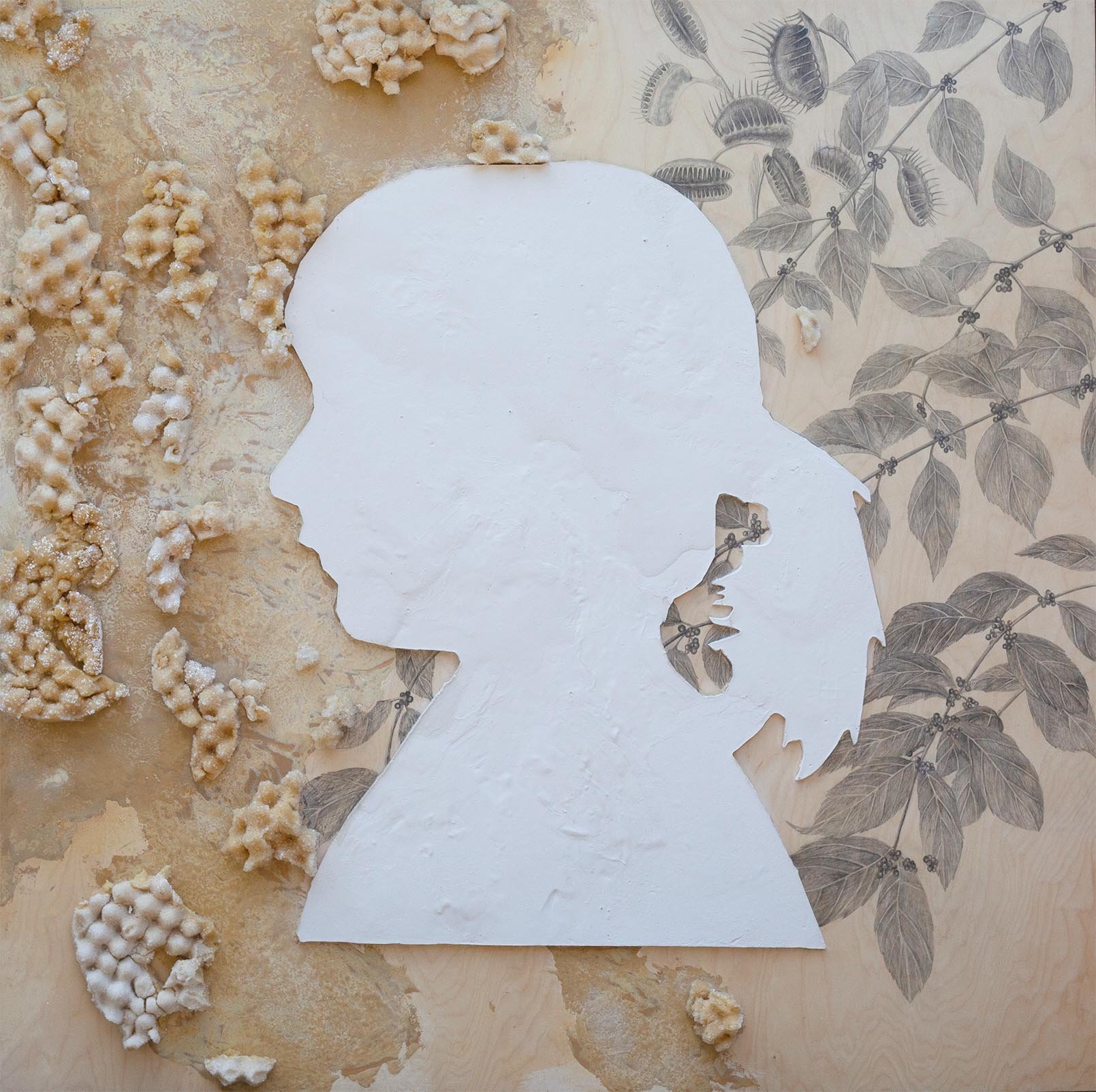 Carly Weaver,Silhouette #1, oil, pencil, plaster, foam, and crystals on wood, 60x60 2022.jpg