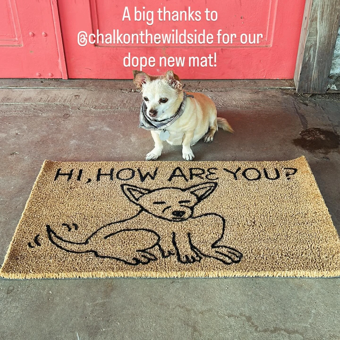 So happy about our new door mat at the studio!