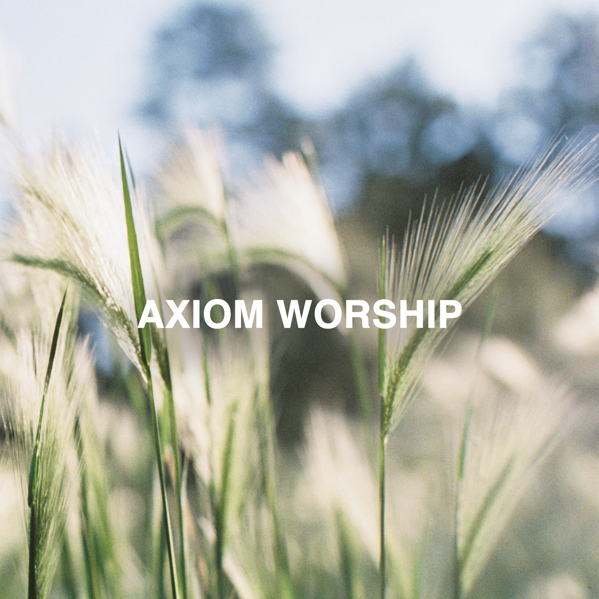 axiom worship.png