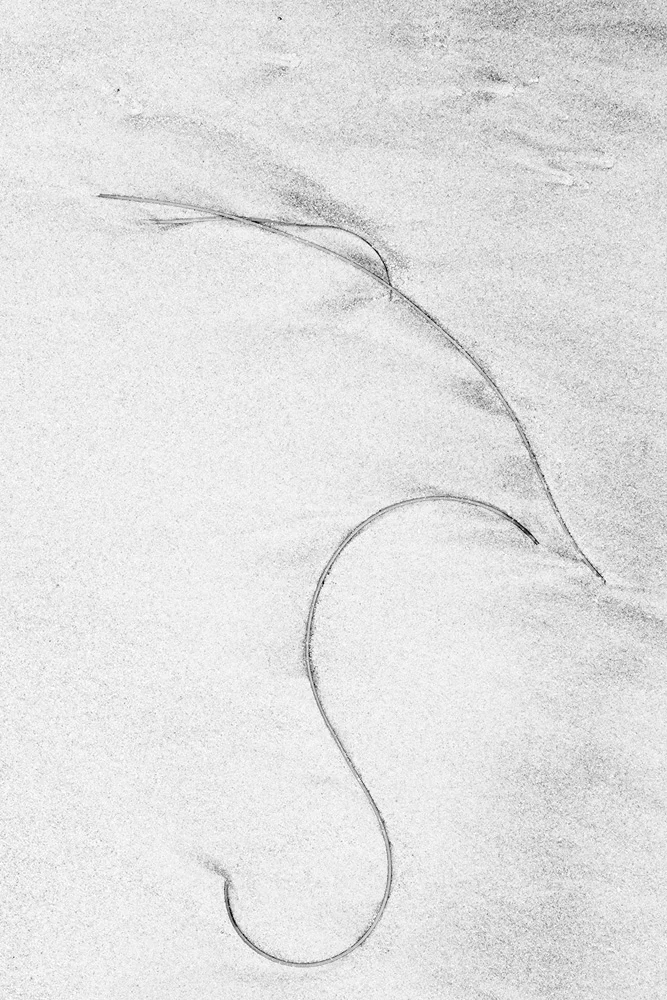 Anderson-Paxson Jan, "Sand Abstract #5"