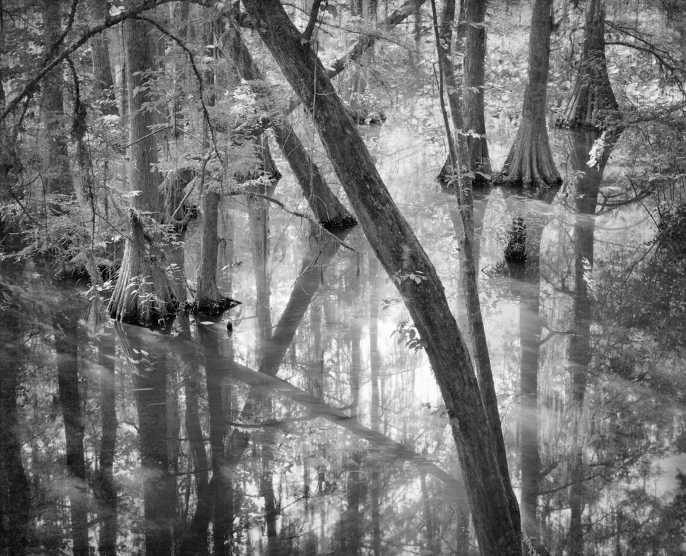 Christopher Jordan, "Still Waters #5"