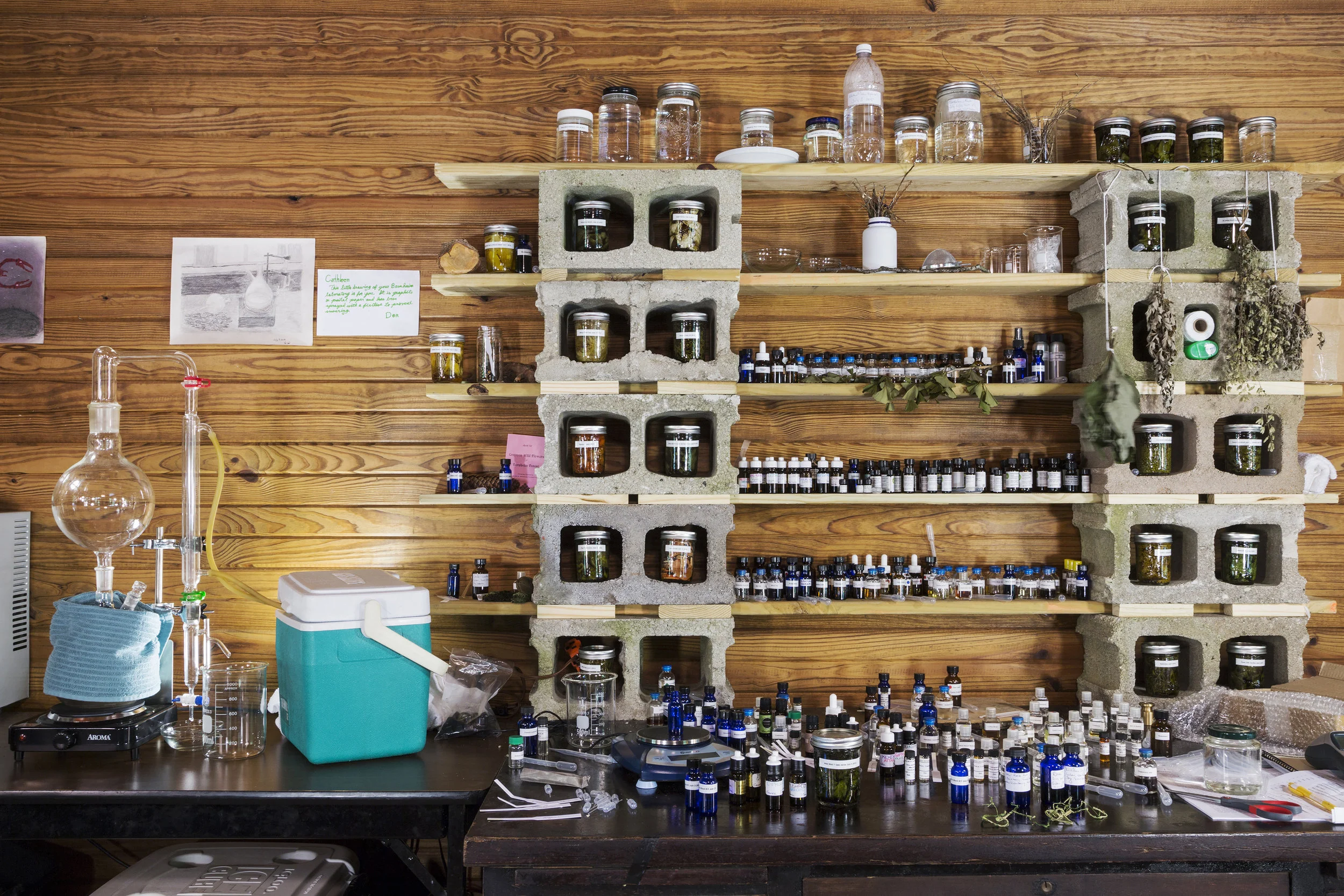 Cathleen Faubert, "Olfactory Studio Lab, Bernheim, KY"