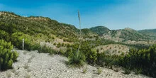 Bradley Settles Bandera , Oil on Panel, 10” x 20”, 2019