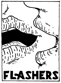 Flashers_Thumbnail_17.jpg