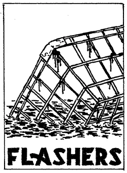 Flashers_Thumbnail_4.jpg