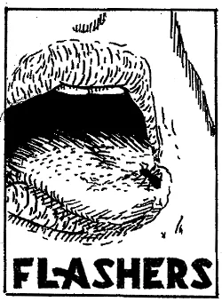 Flashers_Thumbnail_45.jpg