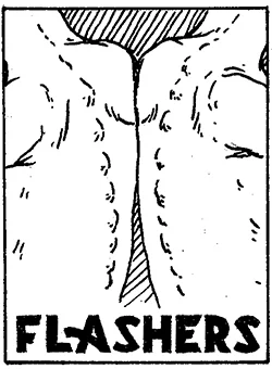 Flashers_Thumbnail_49.jpg
