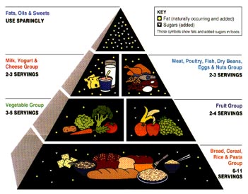 The American Food Guide Pyramid released by the United States Department of Agriculture.