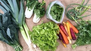 June 2016 Sample Vegetable Share