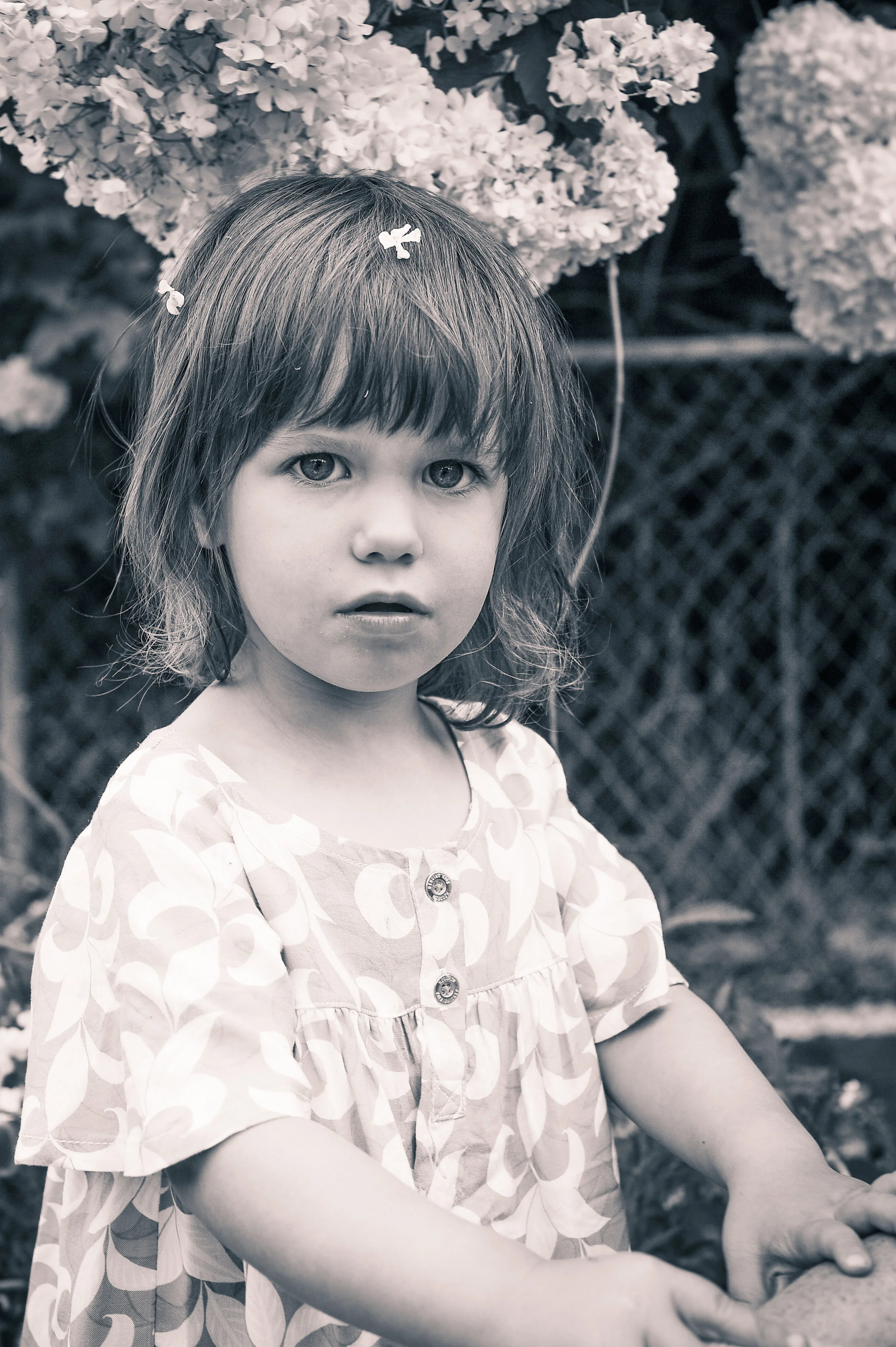 HMH_1009.jpg