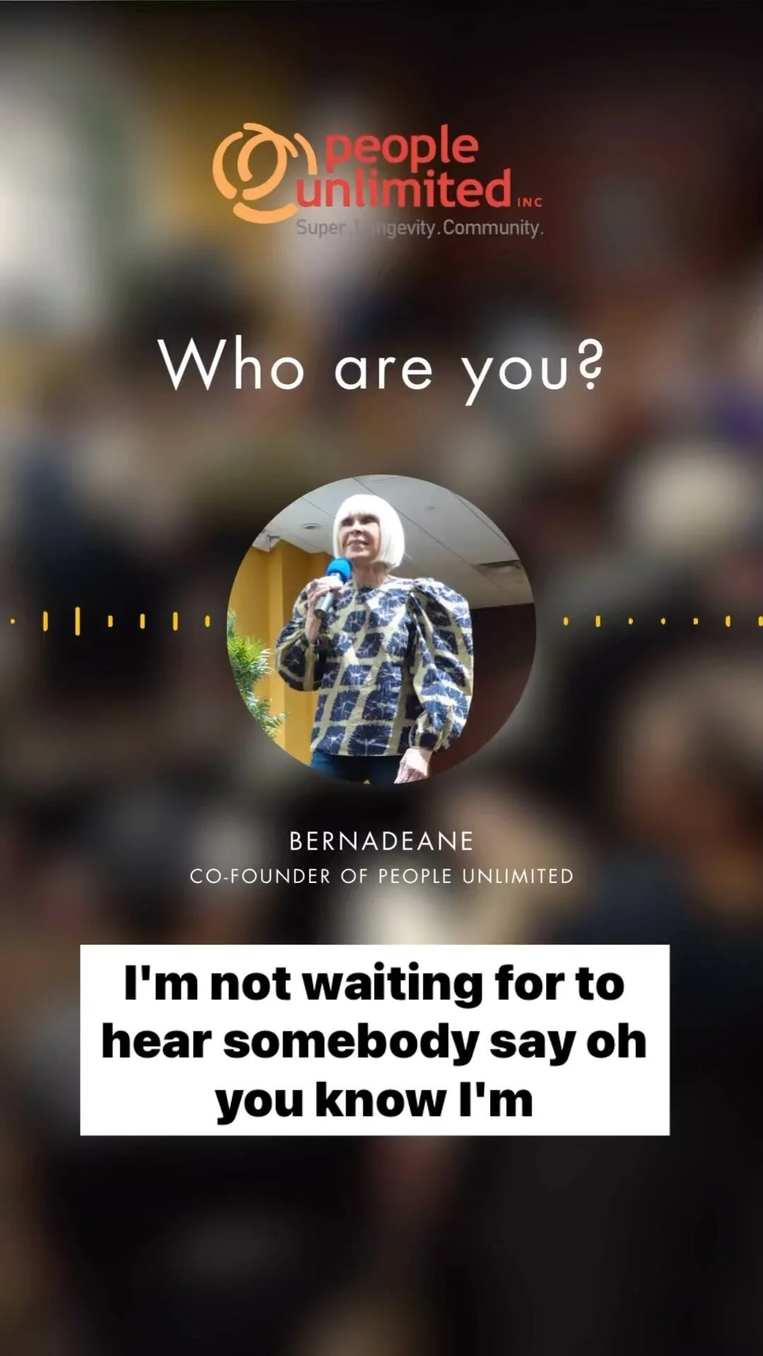 People Unlimited Inc