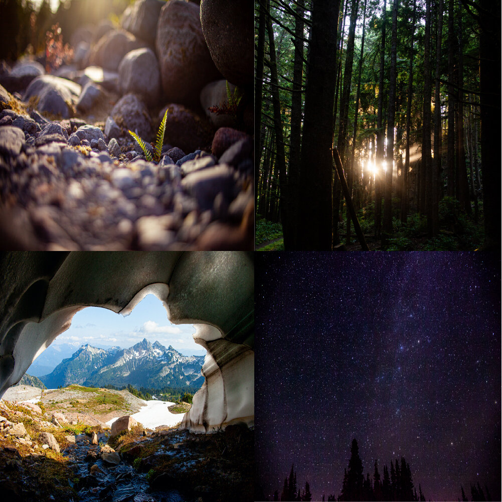 PNW Collection // PRINT