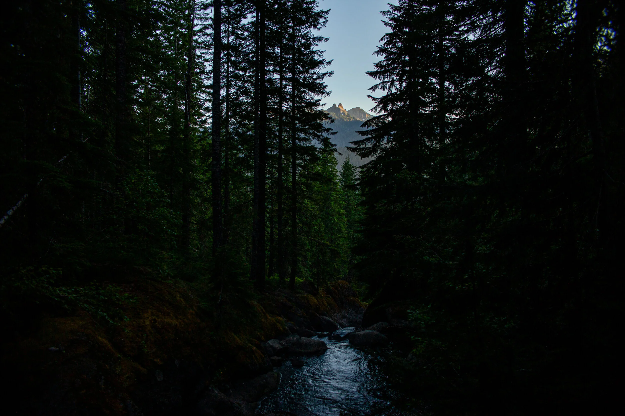 (Horiz) MRNP 007.JPG