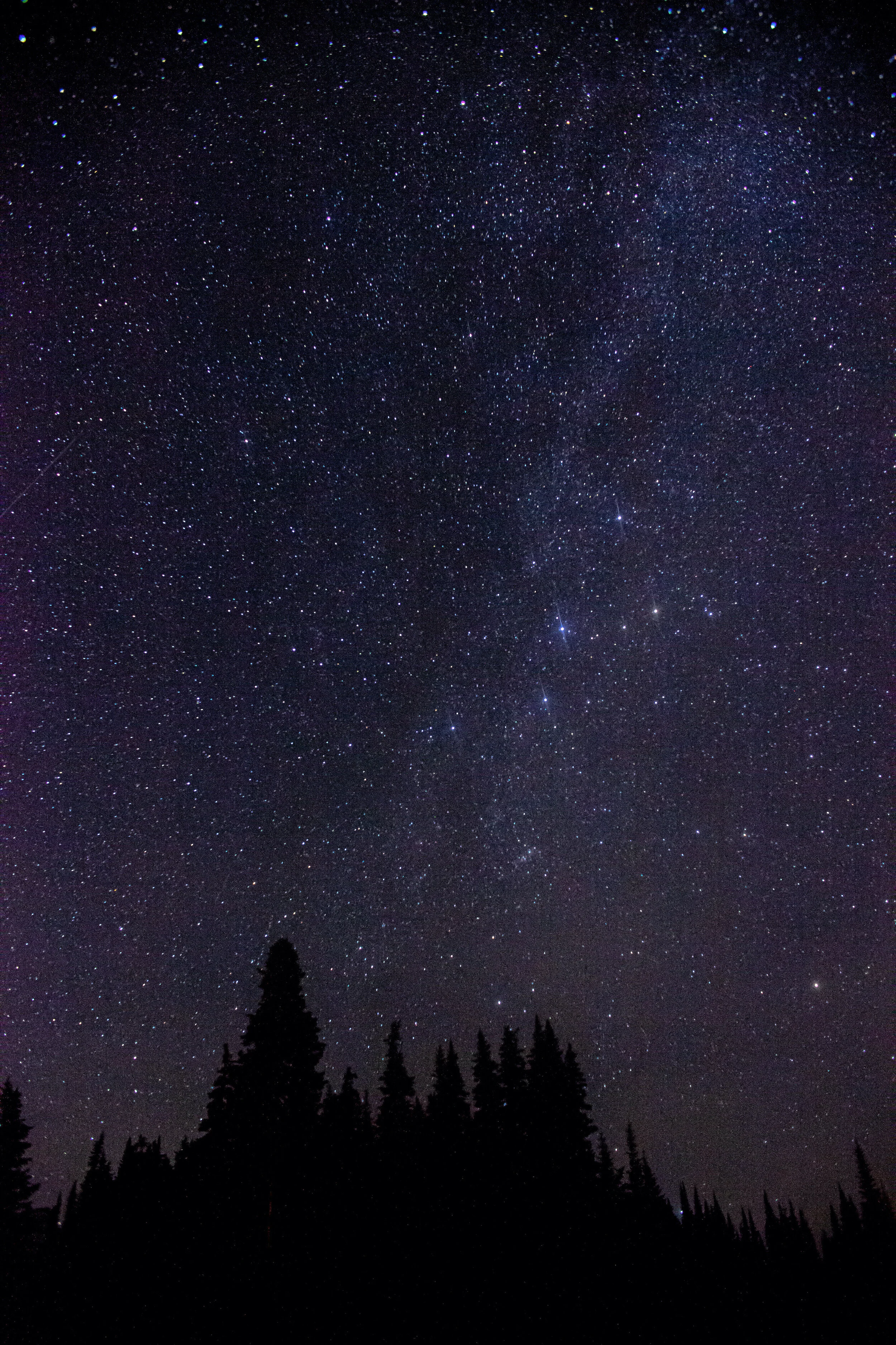 Washington Stary Night-11.JPG