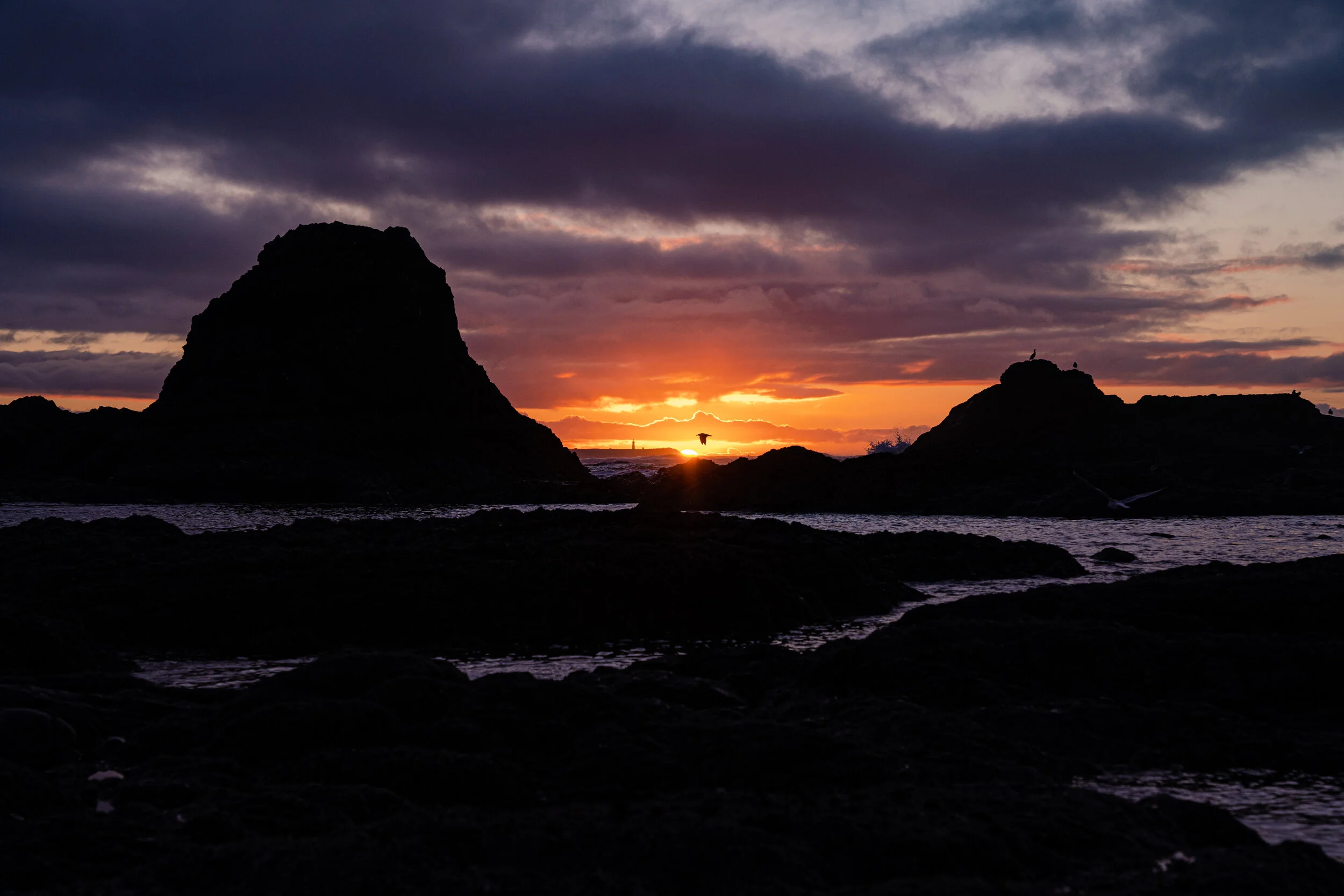 VANLIFE_OLYMPIC PEN-690.JPG