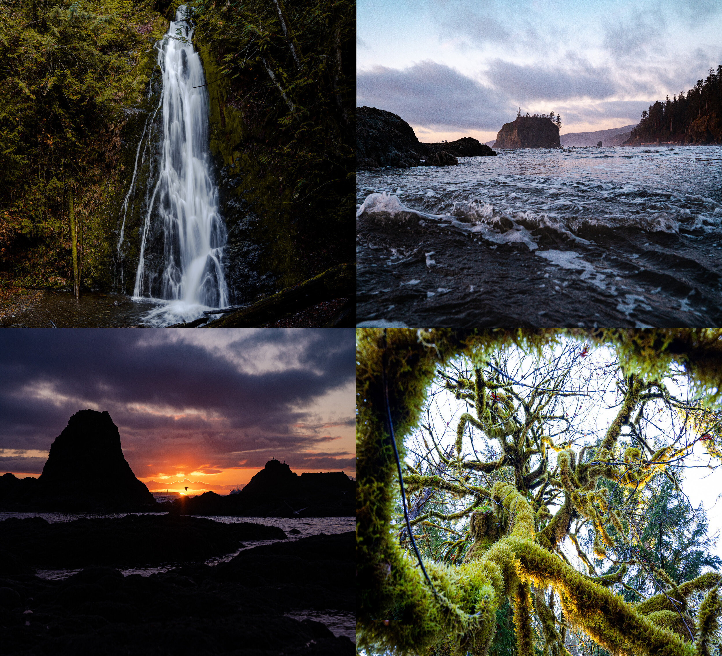 Olympic Peninsula