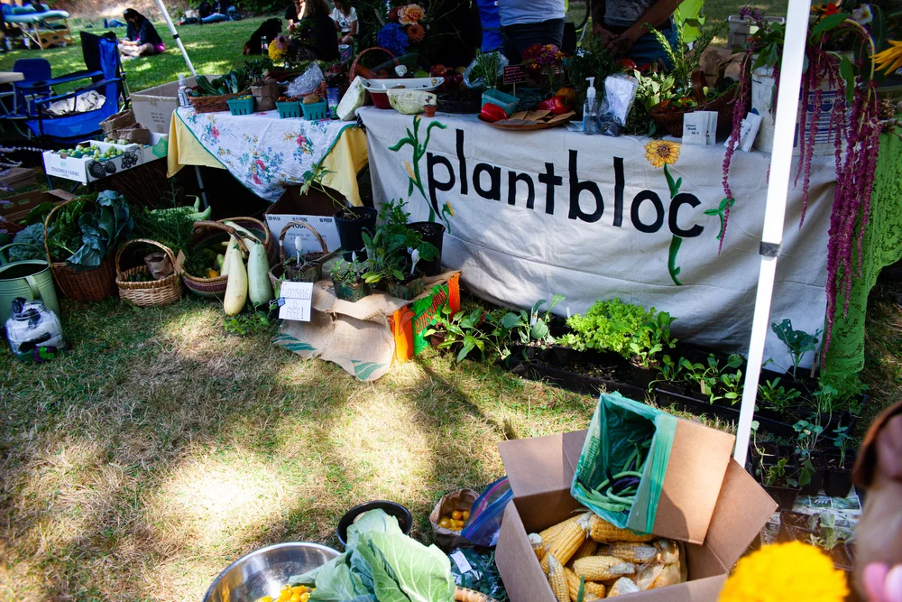 100 DAY -100 NIGHTS Celebration-44.jpeg