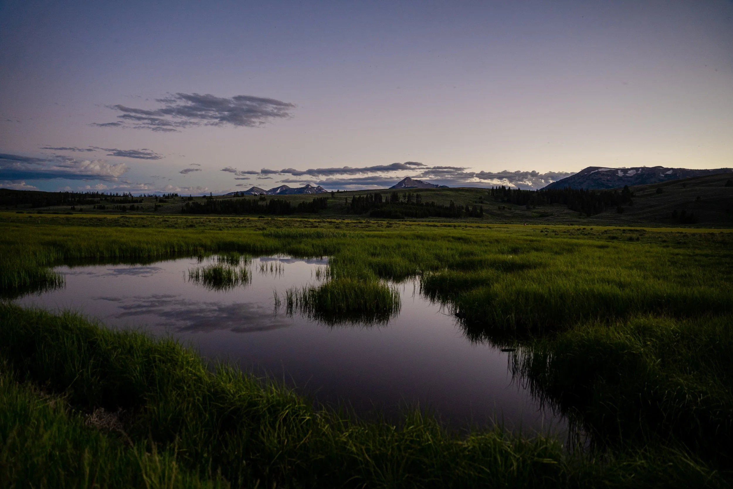Yellowstone NP JUNE 2021-722.JPG
