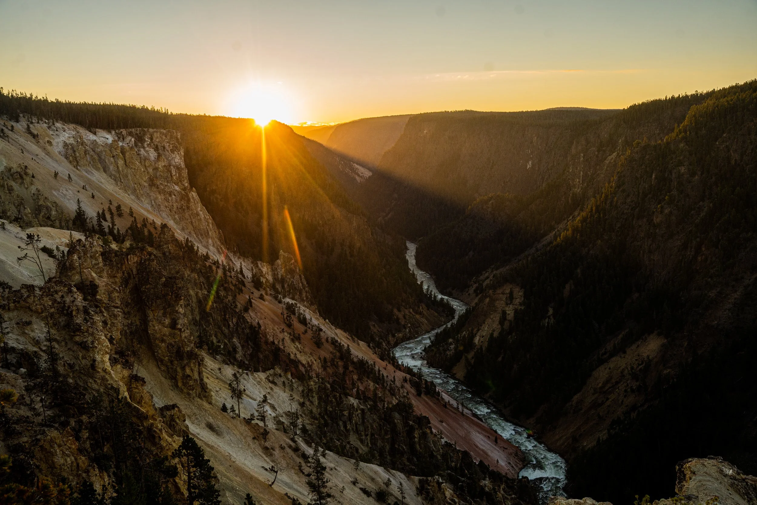 Yellowstone NP JUNE 2021-628.JPG