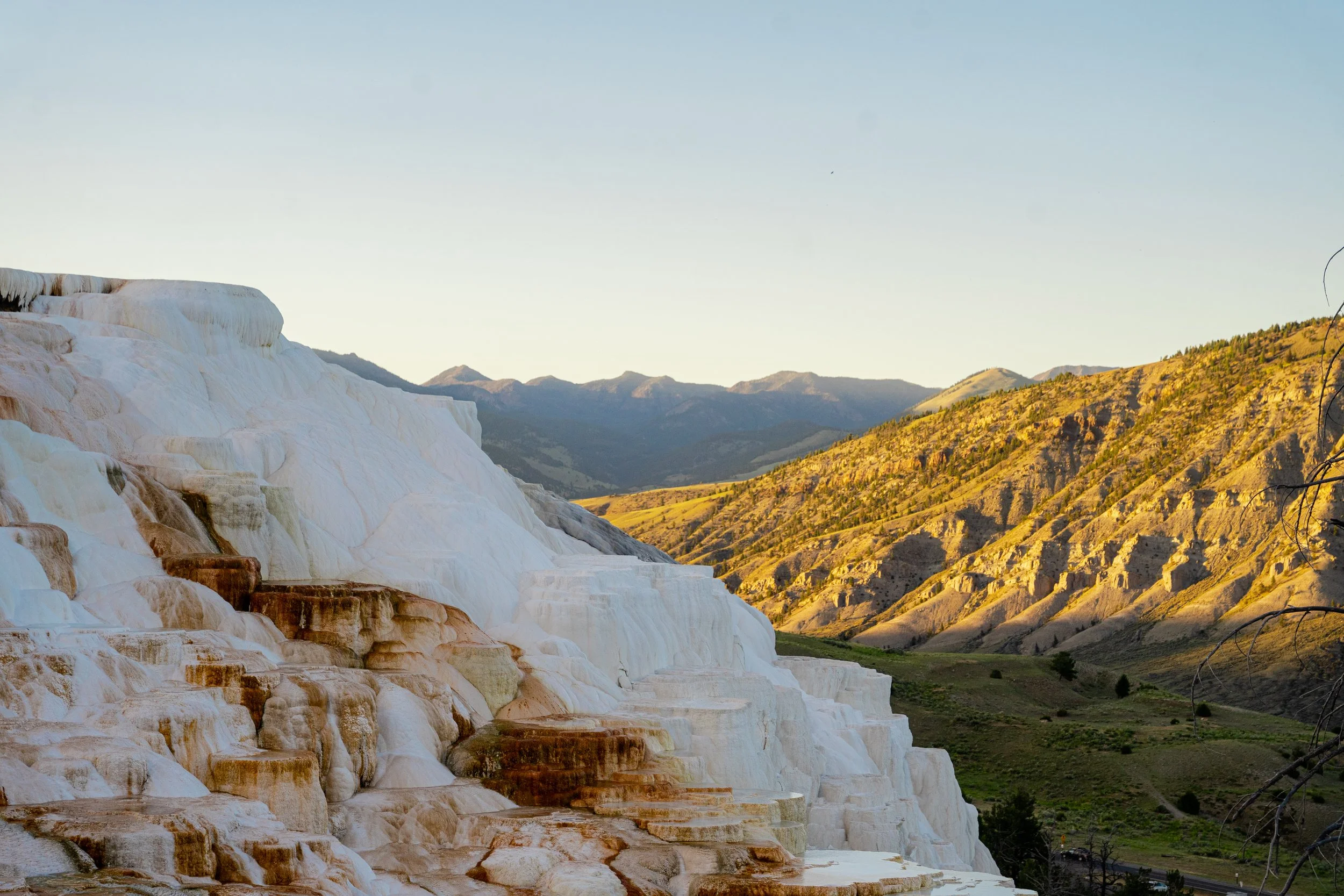 Yellowstone NP JUNE 2021-699.JPG