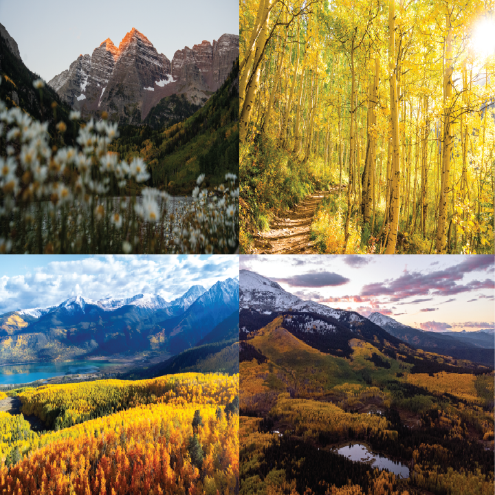 Fall 2024 Collection