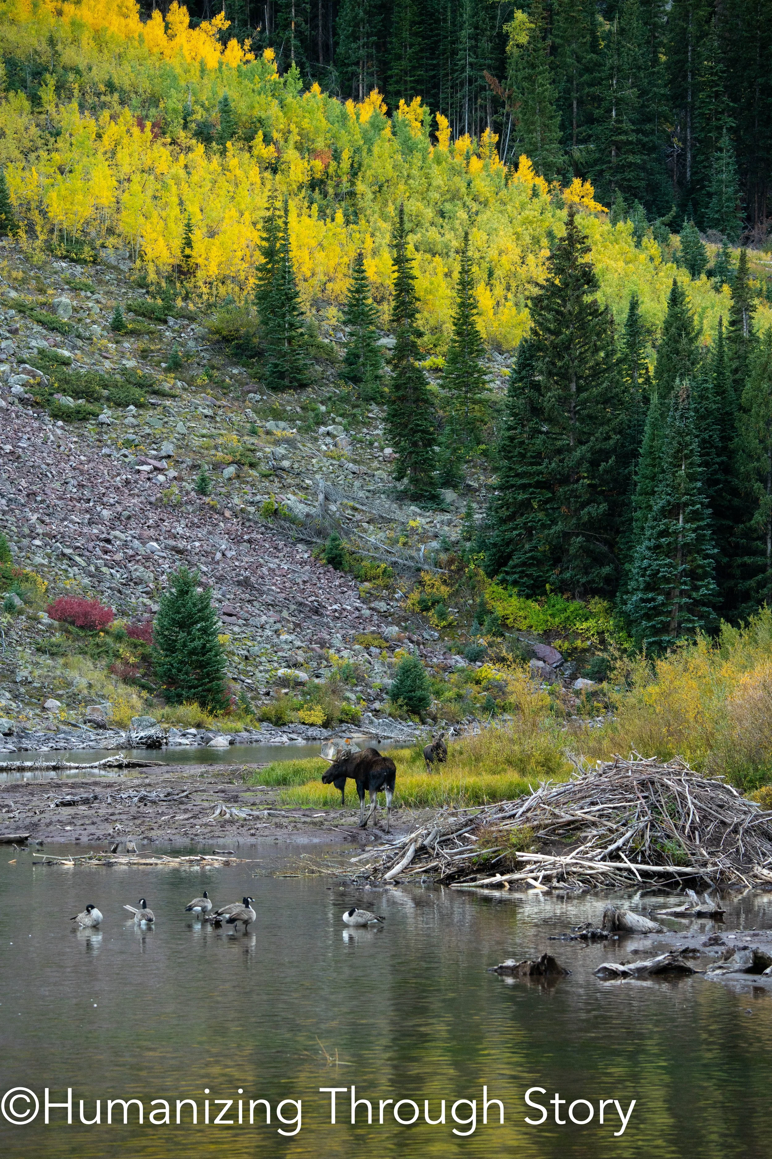 Cover photos fall 2024 website HTS © jonstegenga -17.JPG