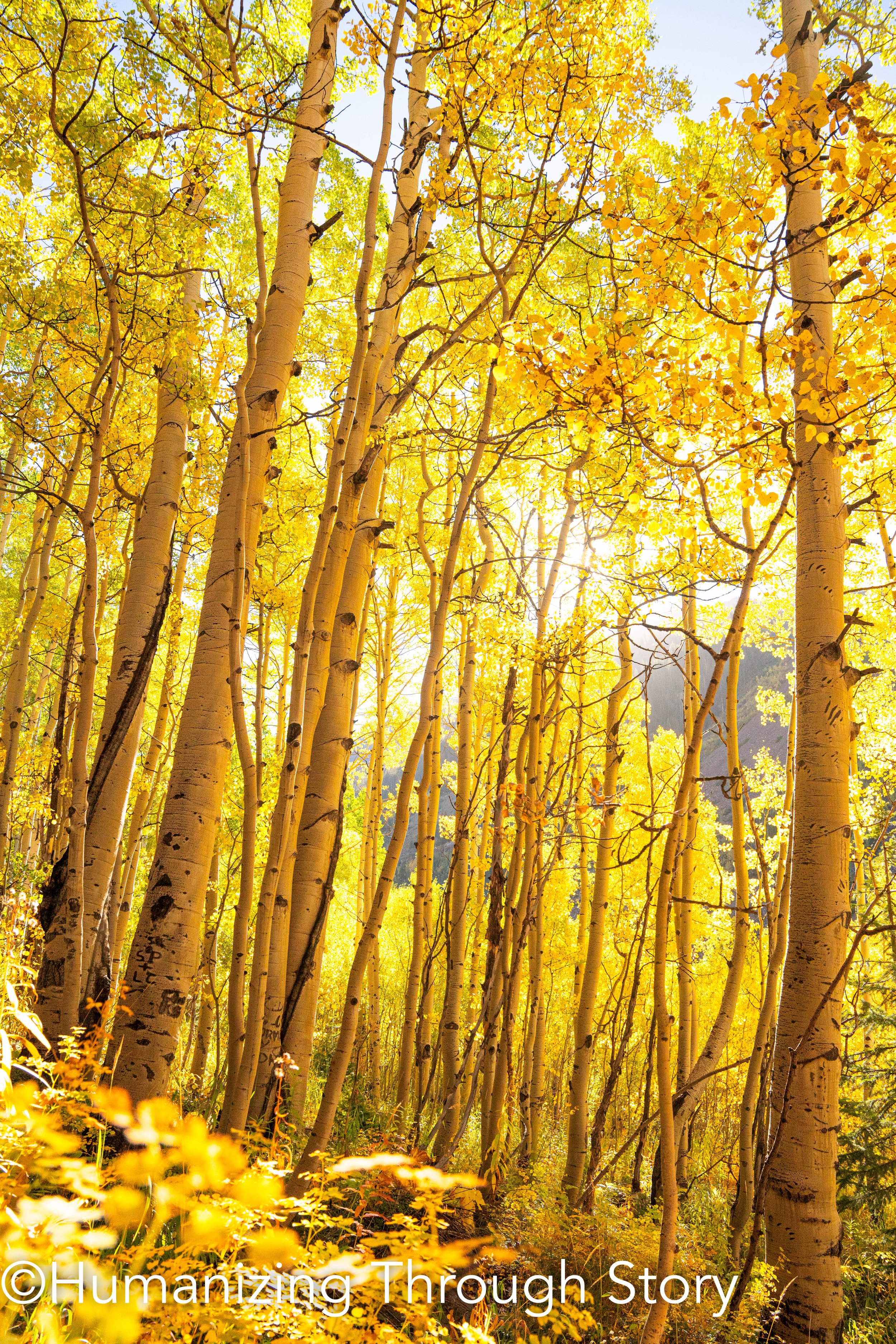 Cover photos fall 2024 website HTS © jonstegenga -5.JPG