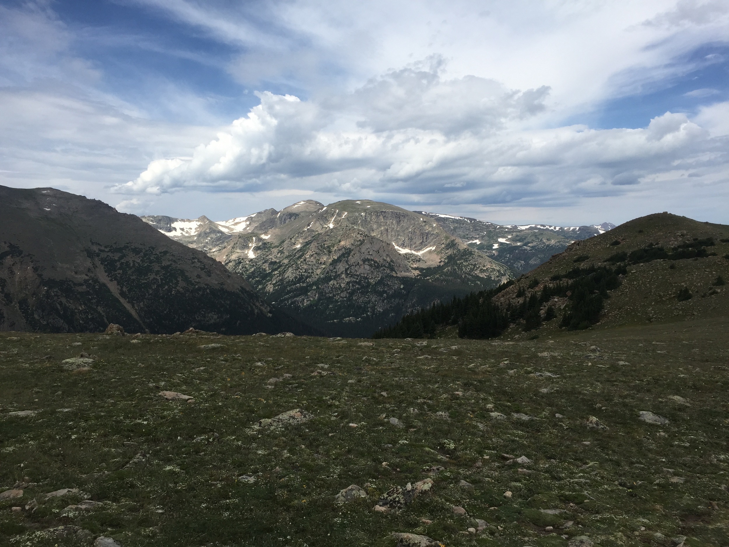 Timberline Pass, Or Marmots Galore 