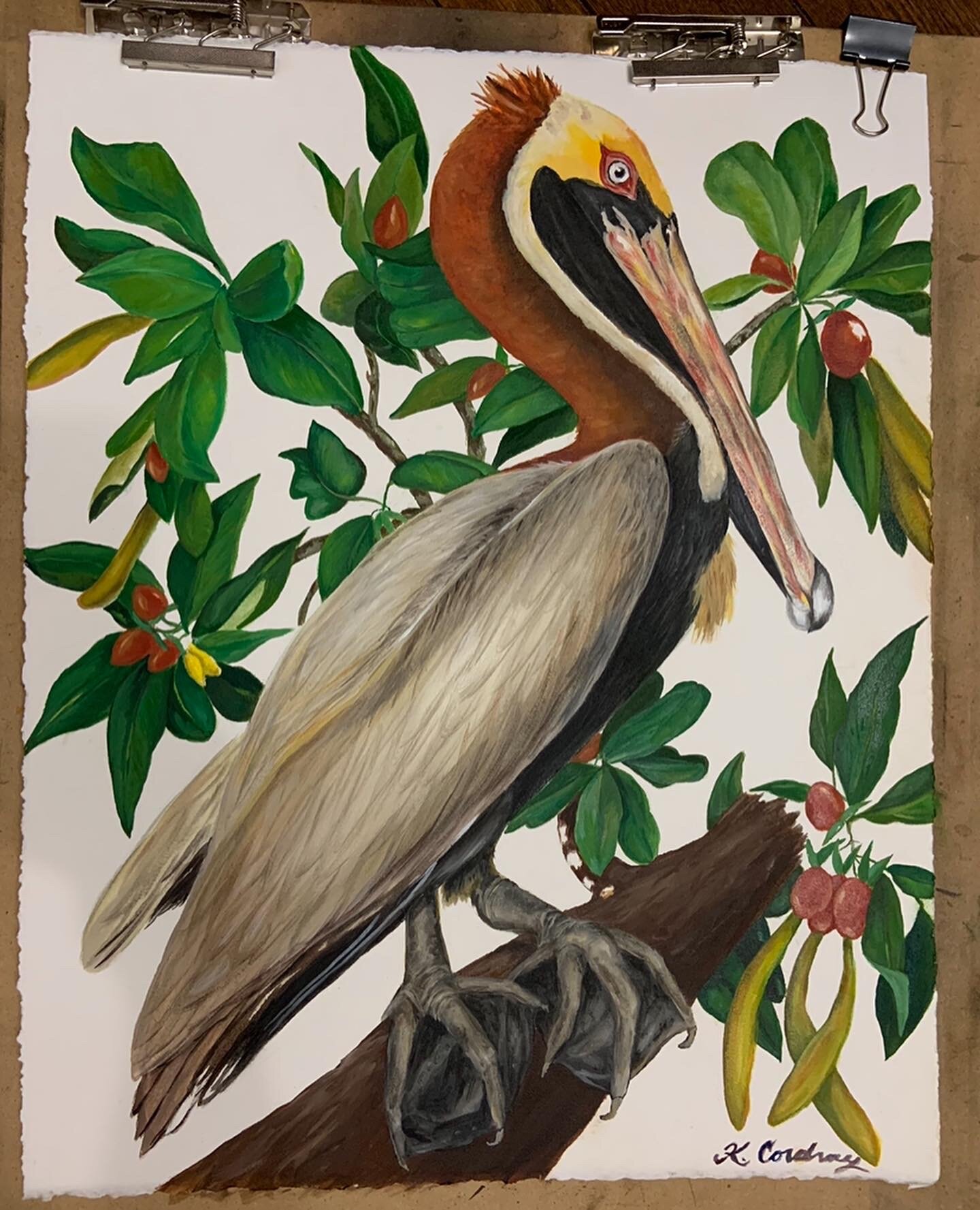 Pelican Painting.JPG