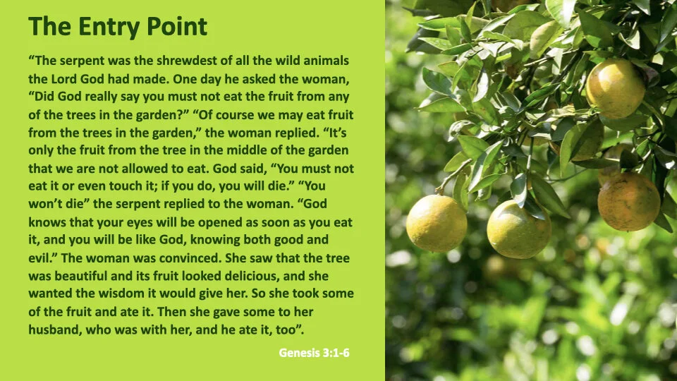 GW 2.6 Shame.002.jpeg