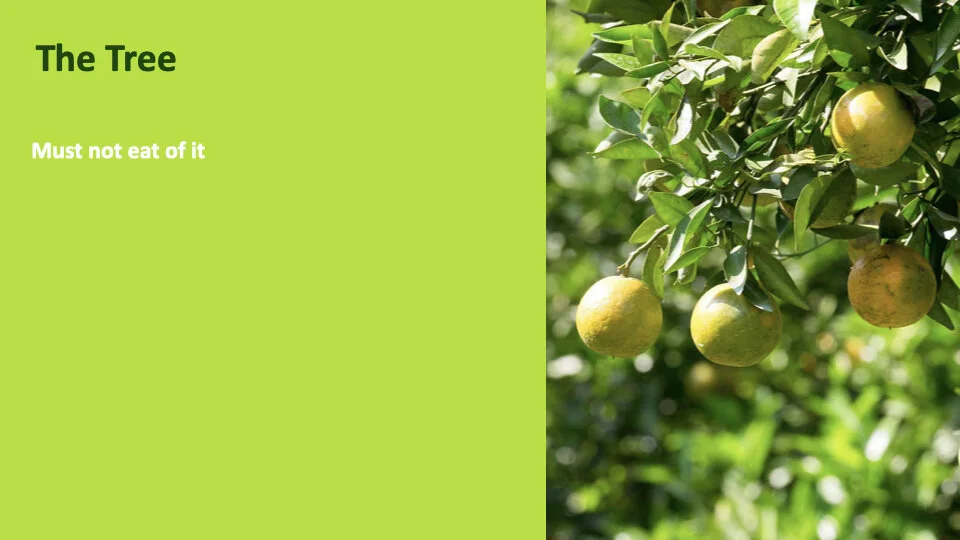 GW 2.6 Shame.004.jpeg