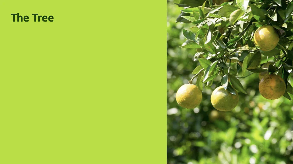 GW 2.6 Shame.003.jpeg