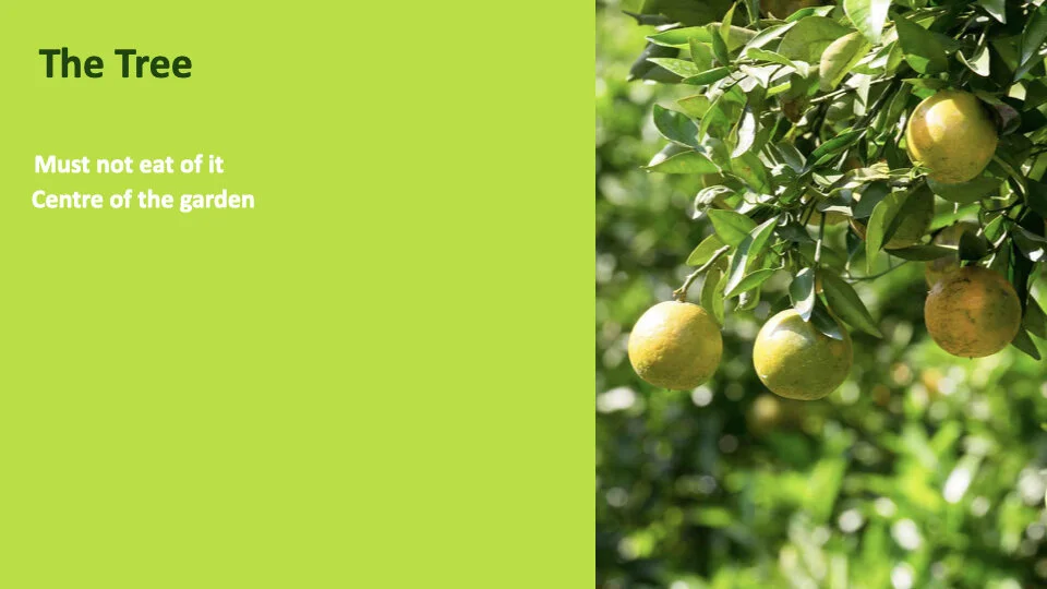 GW 2.6 Shame.005.jpeg