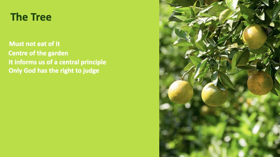 GW 2.6 Shame.007.jpeg