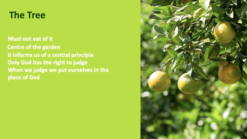 GW 2.6 Shame.008.jpeg