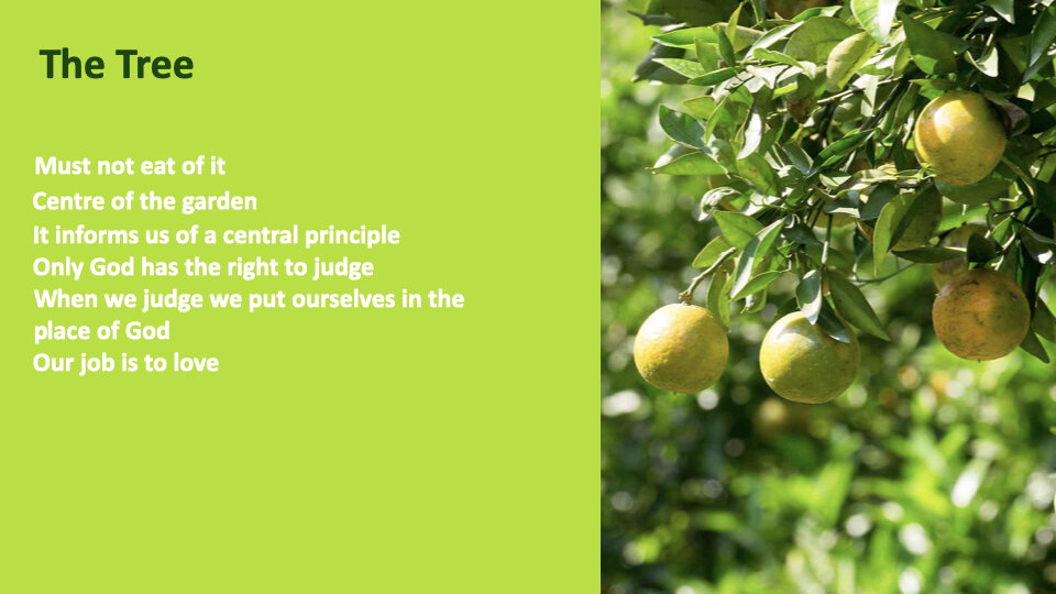 GW 2.6 Shame.009.jpeg