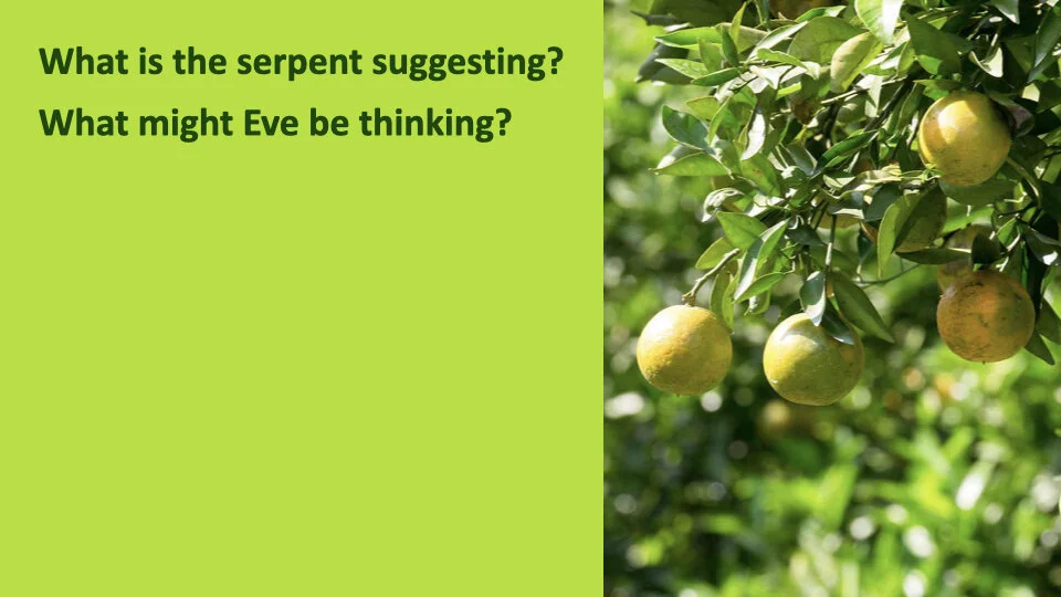 GW 2.6 Shame.010.jpeg