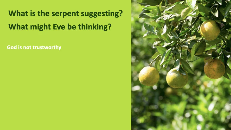 GW 2.6 Shame.011.jpeg